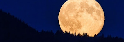La luna, il satellite della Terra L'attrazione gravitazionale della Luna e della Terra