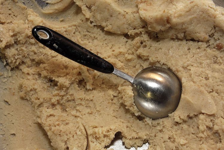 Does food poisoning come from the meat dodgy? or of the flour