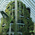 Spectacular Cloud Forest at Gardens by the Bay Singapore