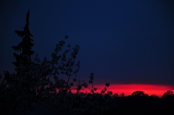 Sonnenschimmer am Horizont...