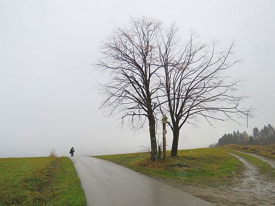 Przełęcz między Pępówką i Łyżką. Przełęcz między Pępówką i Łyżką.