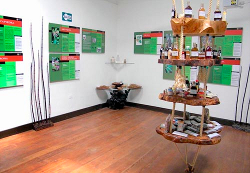 museo de plantas3