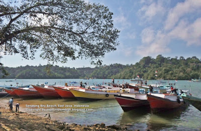 Wisata Pantai Paling Populer dan Menawan di Malang Selatan pantai sendang biru