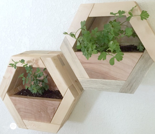 DIY Hexagon Planters My Love 2 Create