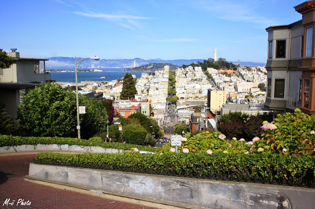 M-ii Photo : 10 choses à faire à San Francisco / 3. Descendre la Lombard Street