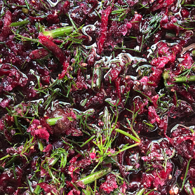Beetroot and Dill cured Salmon - The Grazer Beetroot and Dill cured Salmon - The Grazer