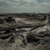Belo Monte queima madeira legal e aquece mercado ilegal