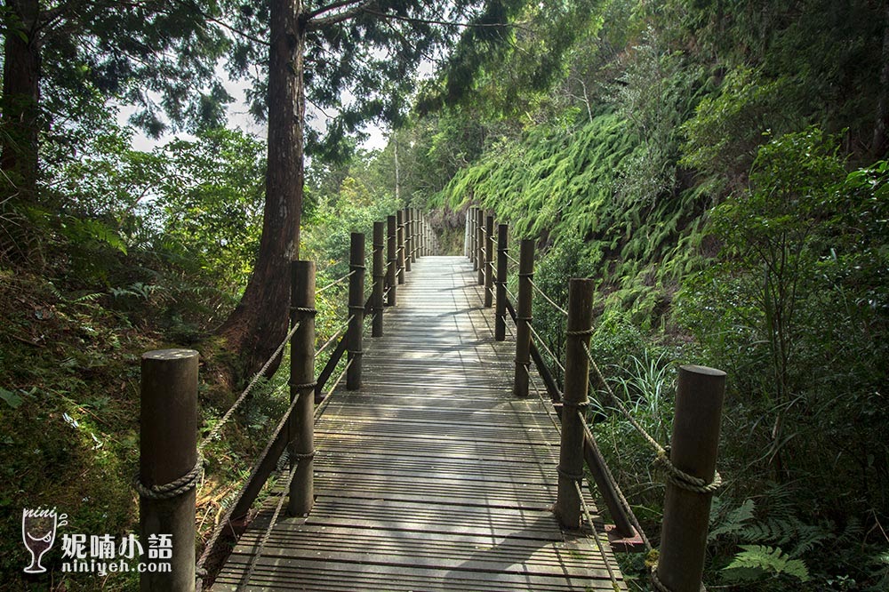 【太平山景點】翠峰湖環山步道。太平山重點健行步道 【太平山景點】翠峰湖環山步道。太平山重點健行步道