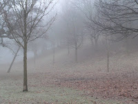 kelvingrove park winter copyright kerry dexter