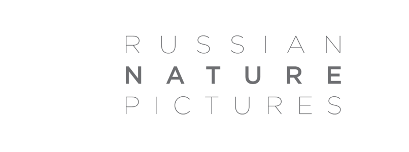 Russian Nature Pictures