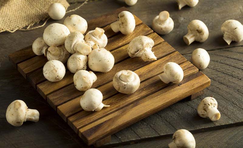 5 Reasons You Should Be Eating More Mushrooms