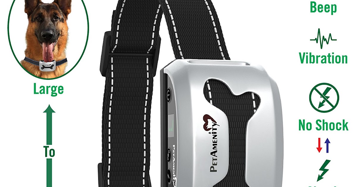 Top 10 Product Reviews No Barking Control Anti Bark Collar [BEST VALUE