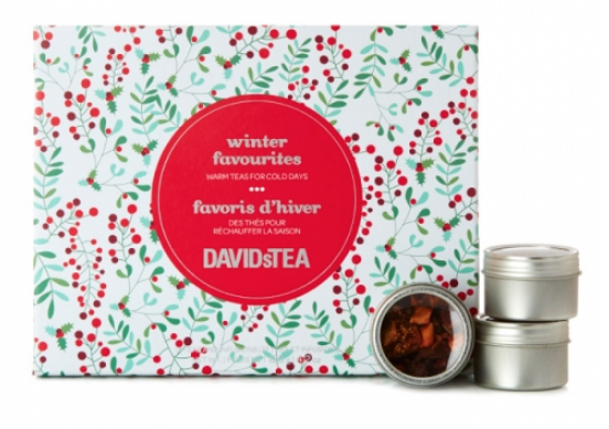 favoris d'hiver kit David's tea favoris d'hiver kit David's tea