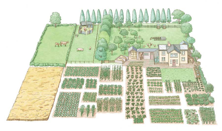 Even on a small 1-acre farm, you can create a self-sufficient ...