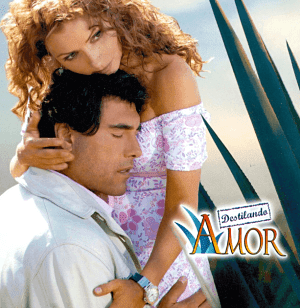 Ver novela Destilando Amor Capítulo 21