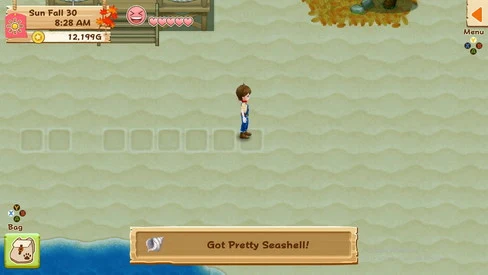 How to Get Seashell and Pretty Seashell HM LoH