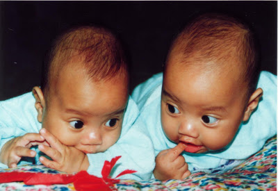 Foto Bayi Kembar Yang Lucu Kumpulan Tips dan Seputar Foto Bayi Kembar Yang Lucu Kumpulan Tips dan Seputar