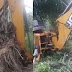 Peneroka kecewa tolak pokok kelapa sawit mula tanam ketum