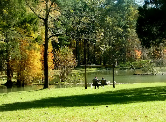 A couple sitting on a wooden swing at the edge of a pond feeding the ducks and geese - a nice way to relax on an autumn day.