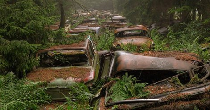 This Traffic Jam Was Stuck In Belgian Forest For 70 Years
