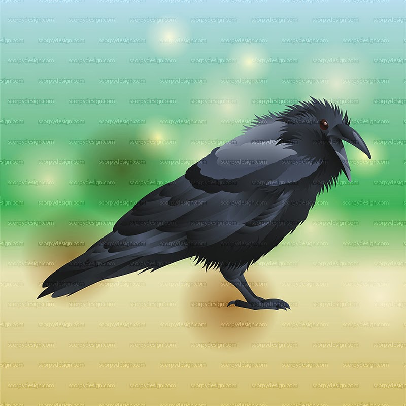 crow vector illustration