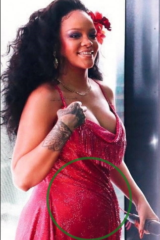 Rhianna Pregnant 45