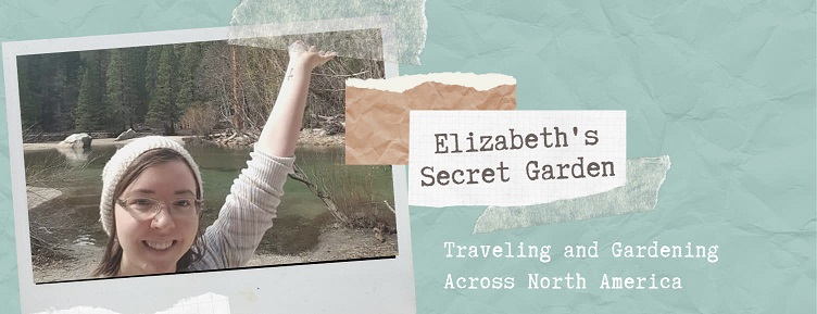 Elizabeth's Secret Garden