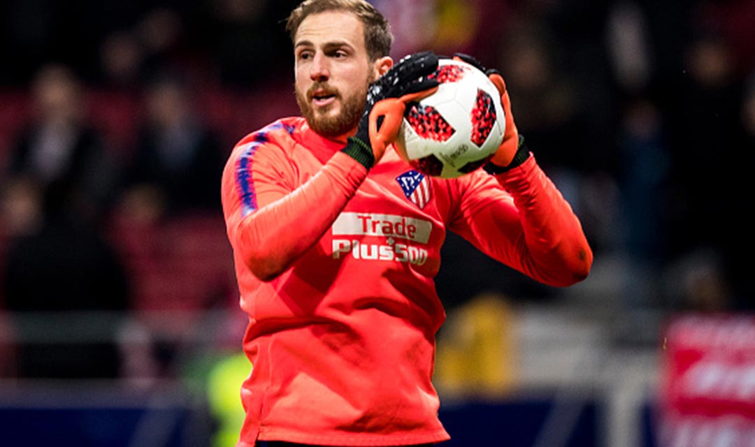 puma oblak