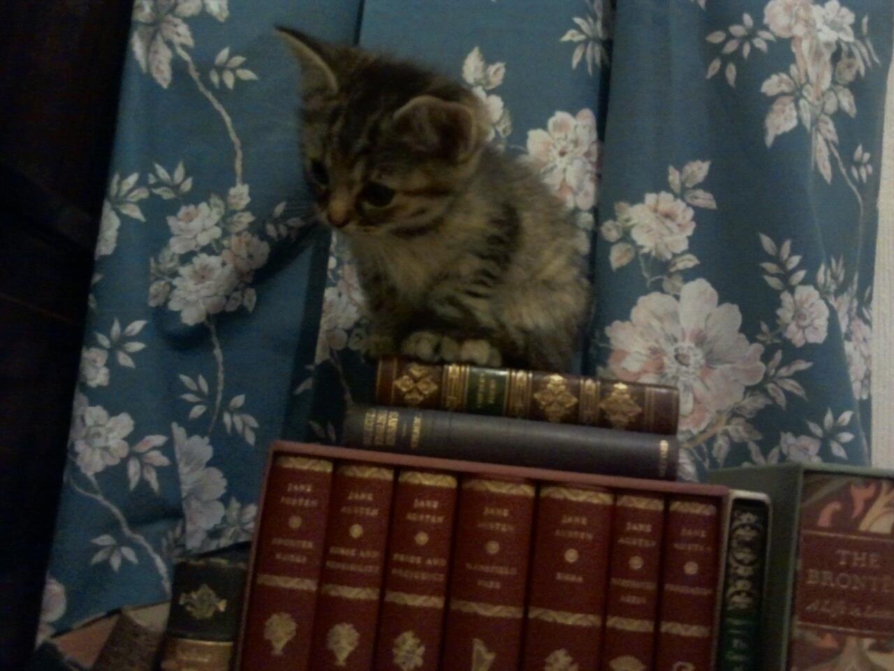 TILLY & BILLIE'S BOOK OF THE WEEK The 10pm Question by