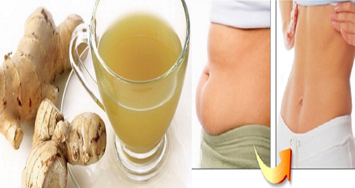 Health and Beauty How to Lose Weight and Get Rid of Your Belly Fat