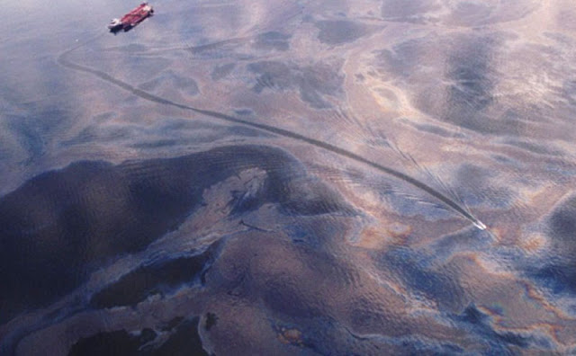 Tercemarnya lautan Yang disebabkan tumpahan Minyak oleh kapal Exxon Valdez 