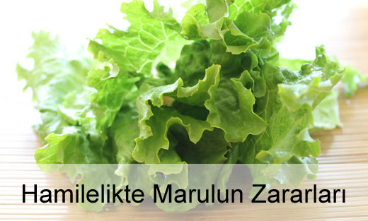 Hamilelikte Marul Zararlı mı? Hamilelikte Marul Zararlı mı?