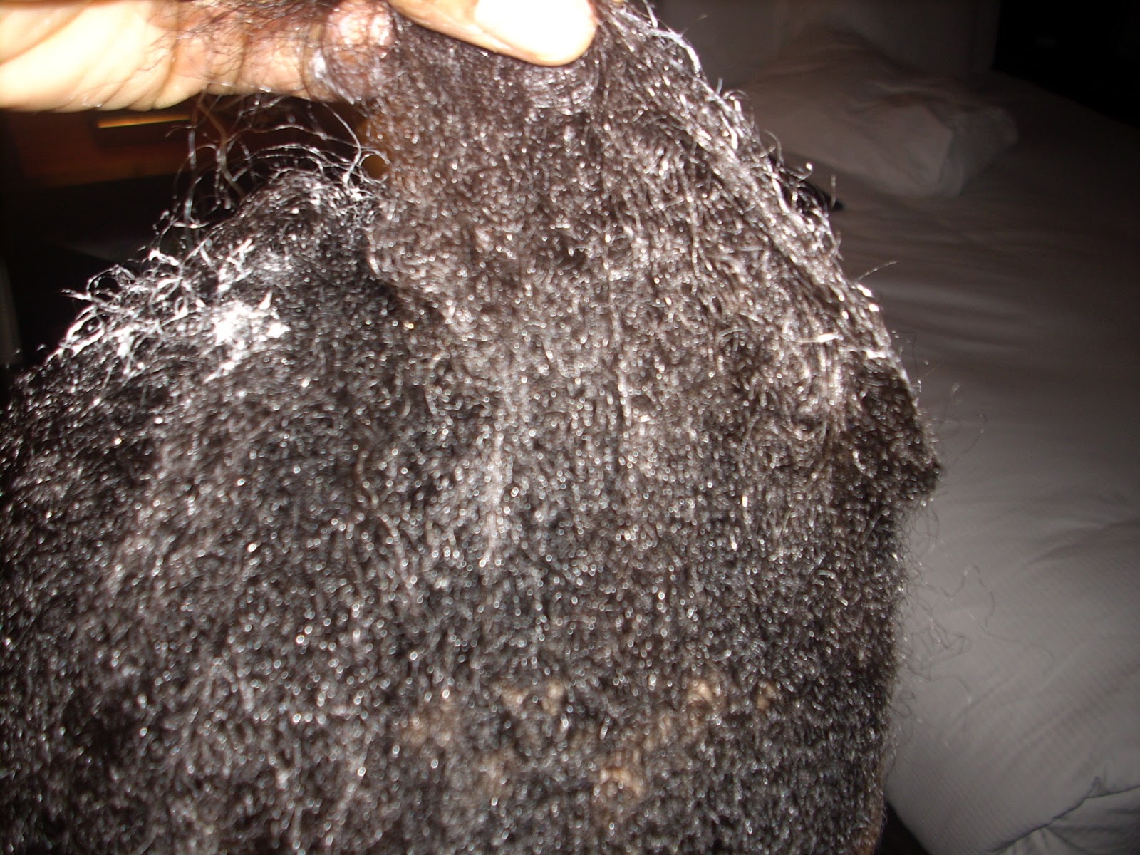 Tangled Hair Techs: Detangling Hair May Not Be Glamorous ...
