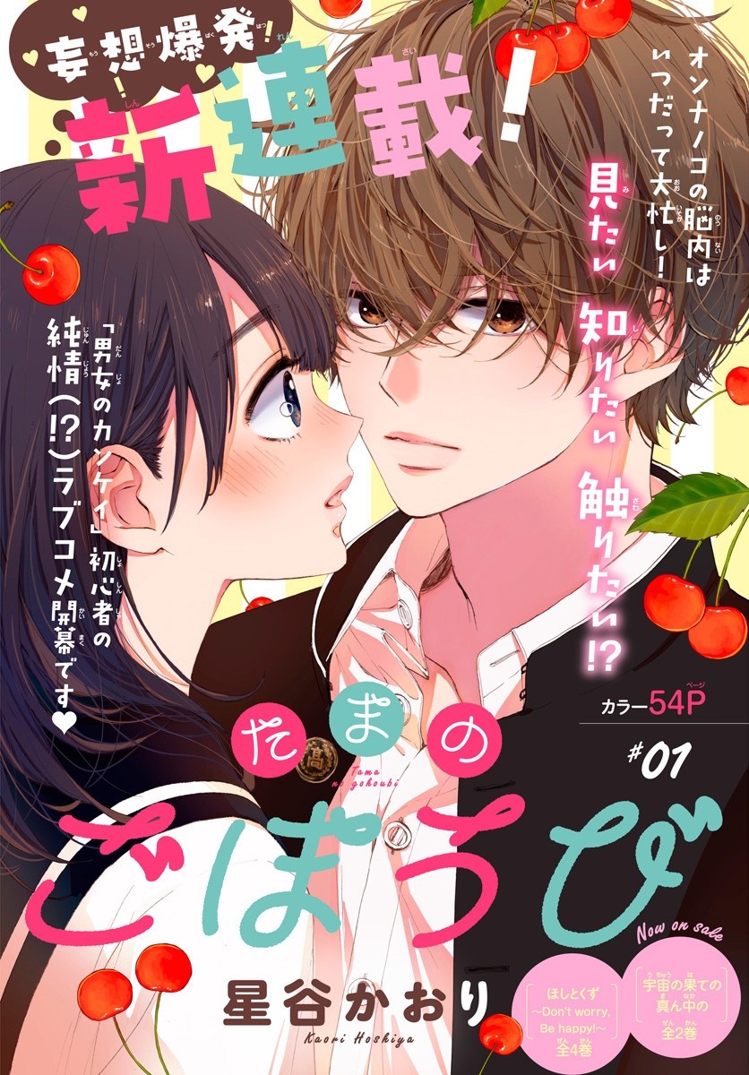 Tama no Gohoubi Tama no Gohoubi