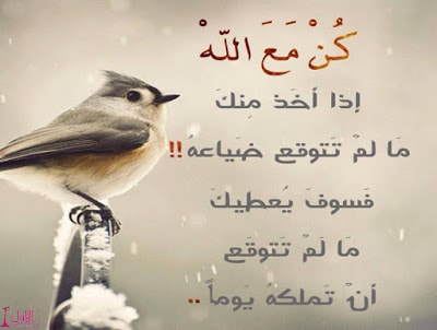 صور مكتوب عليها حكم ومواعظ