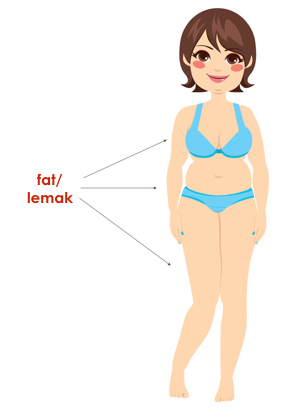 kawasan lemak berkumpul