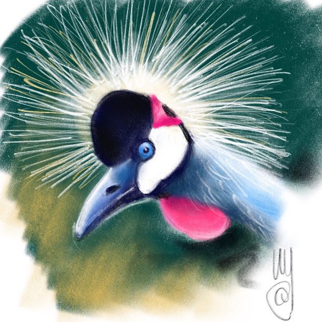 Black crowned crane. Bird painting by Artmagenta