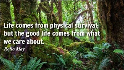 Quotes About Life Quotes About Life