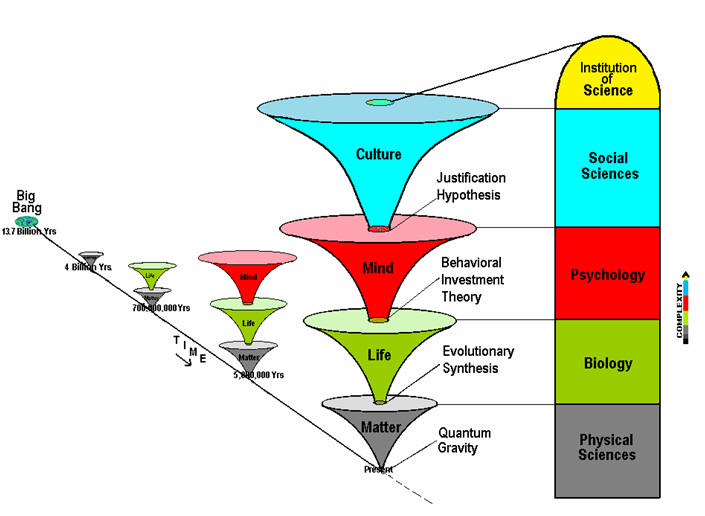 Overview of the Tree of Knowledge System 11 Gates