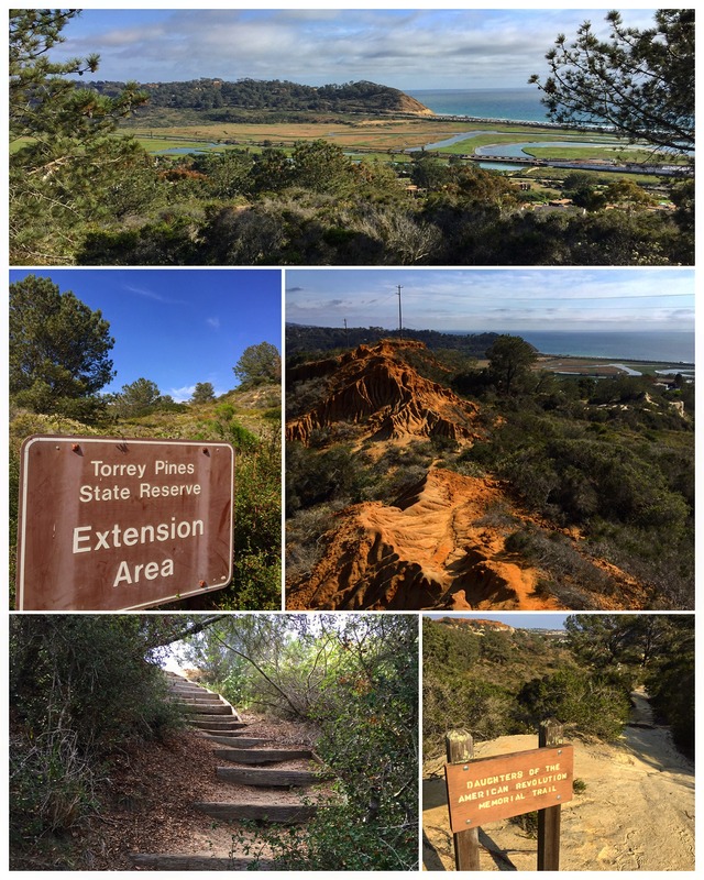 AdventureGraham Hike 37 Crest Canyon & Torrey Pines State Reserve