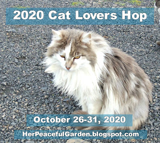 Cat Lovers Hop 2020