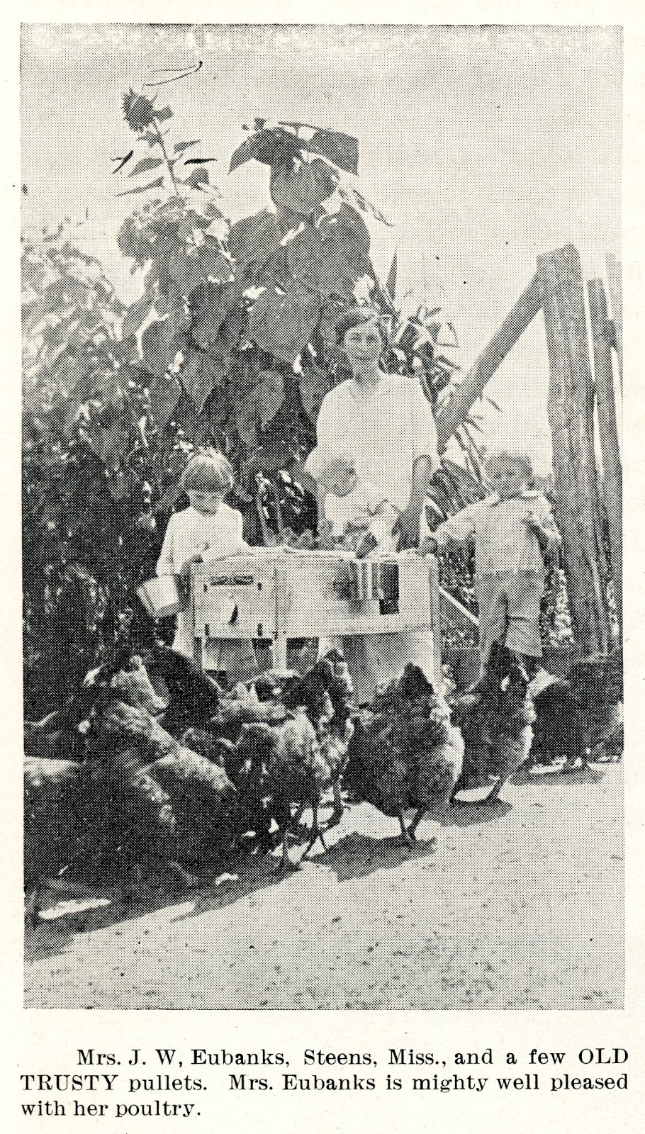 The Deliberate Agrarian 2.0 The Famous Old TrustyPart 1