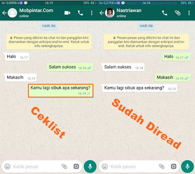 Cheat WhatsApp Chat Centang Satu
