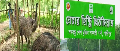Images of Bangabandhu Safari Park Images of Bangabandhu Safari Park