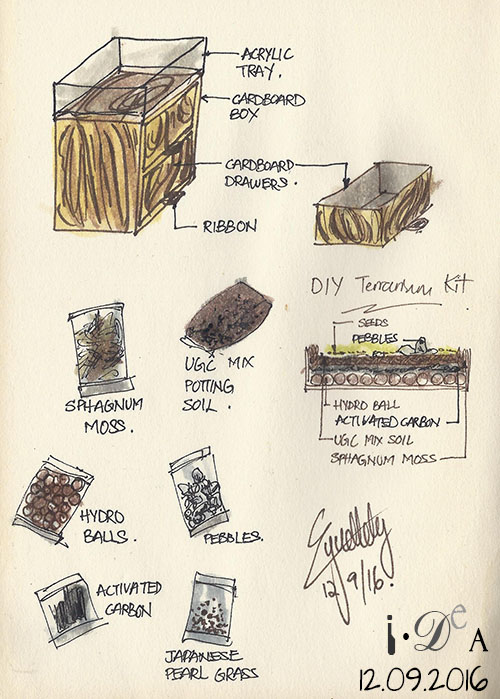 i·DeA Days DIY Terrarium Kit