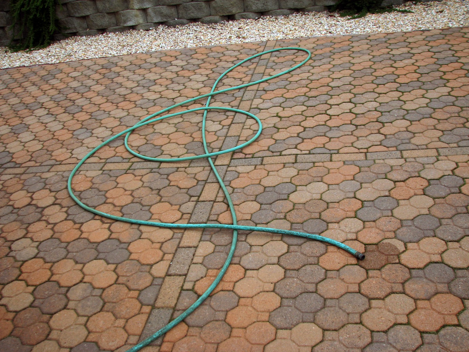 Cattasticks: November 2011