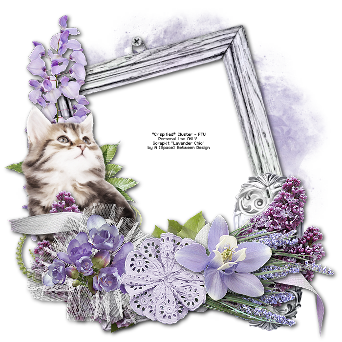 Crispified 12 NEW cluster frames FTU )