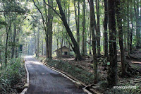 taman hutan raya ir h juanda