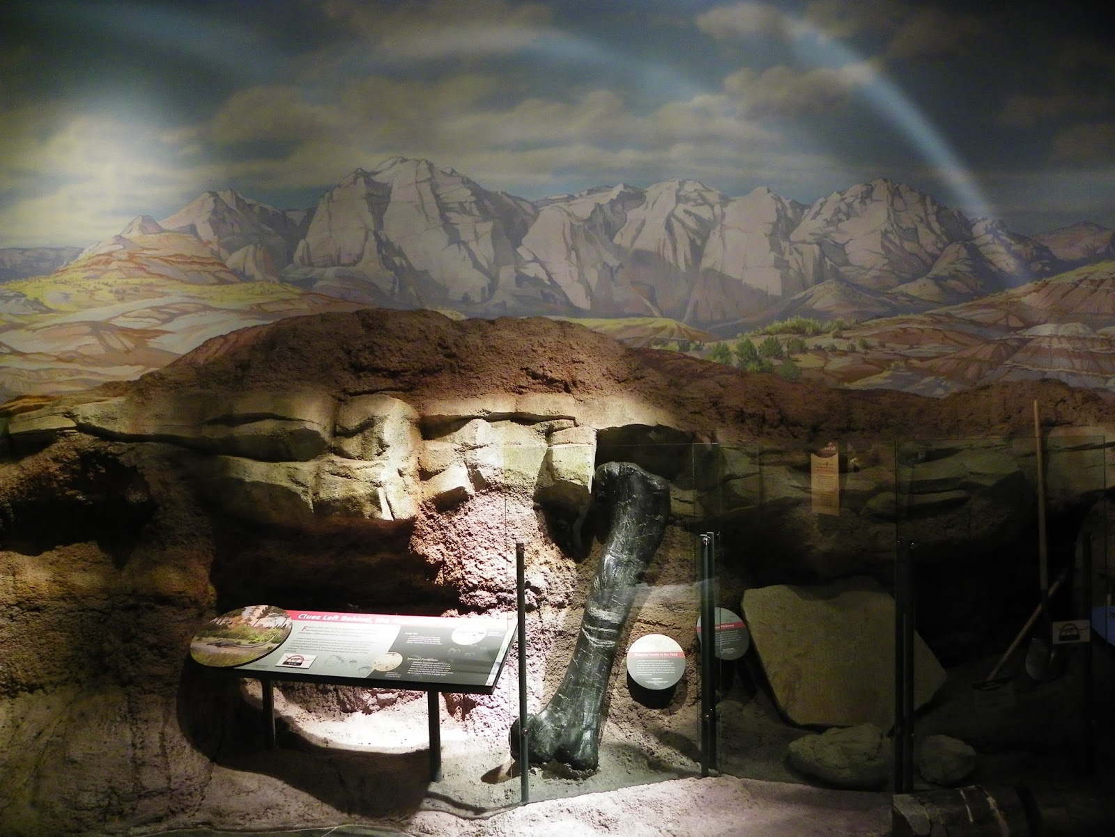 BONE ROOMS: April 2017