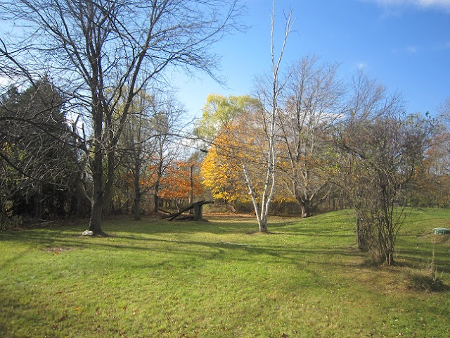 Central%2BGarden%2Barea.JPG
